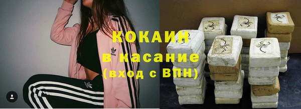 гашик Аркадак