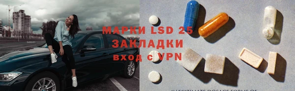 гашик Аркадак