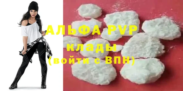 спиды Пересвет