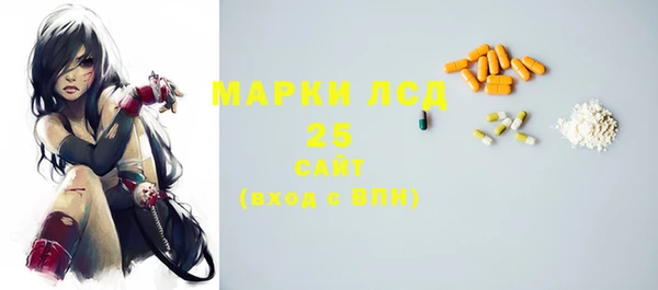 гашик Аркадак