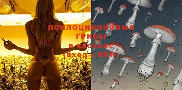 гашик Аркадак