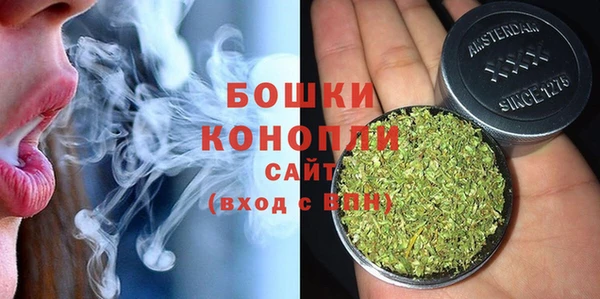 дурь Переславль-Залесский