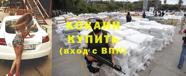 гашик Аркадак
