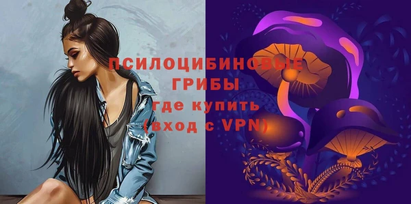 СК Пестово